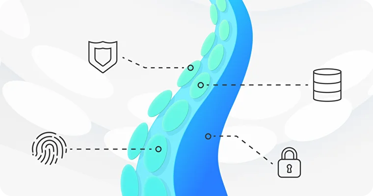 How Octo Browser Protects User Data